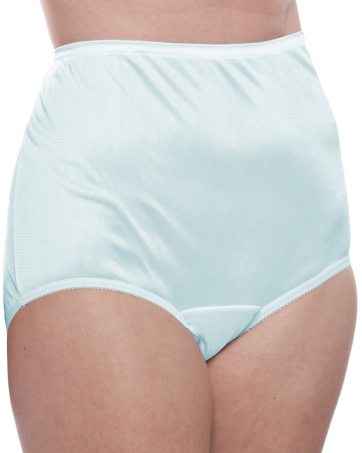 Comfort Choice Women's Plus Size Nylon Brief 10-Pack - 16, Blue