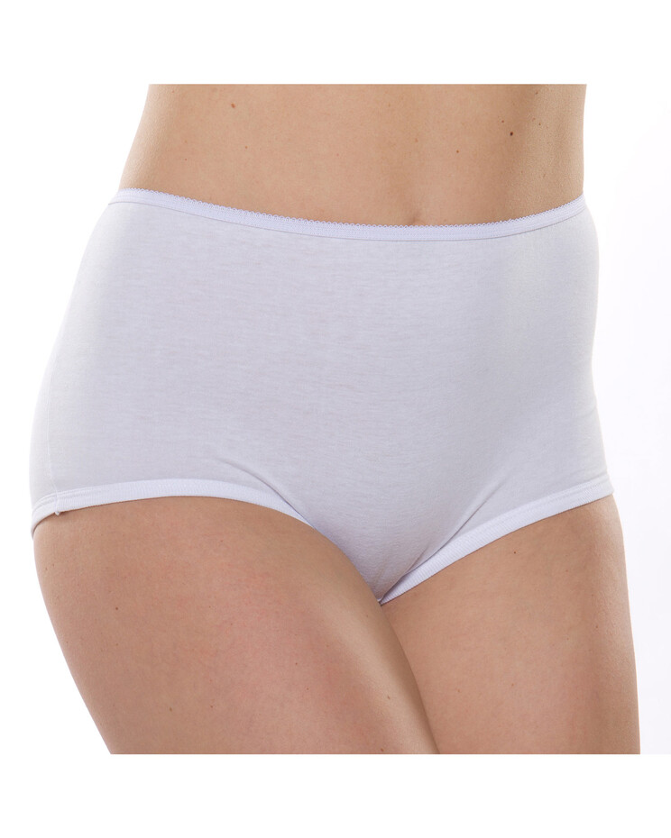 Perfect Panty 3 Pack Subscription